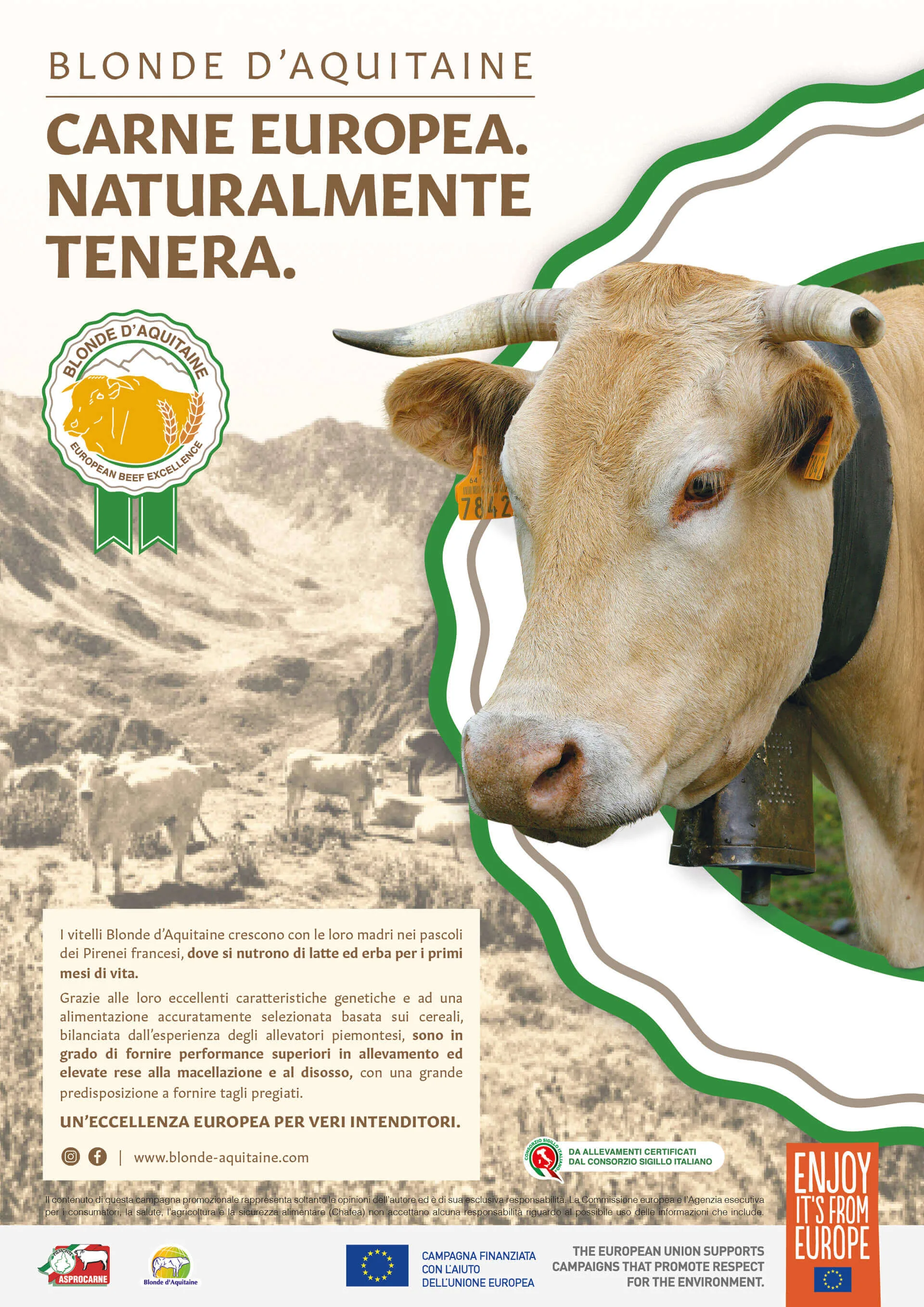 Blonde d'Aquitaine - Campagna ADV