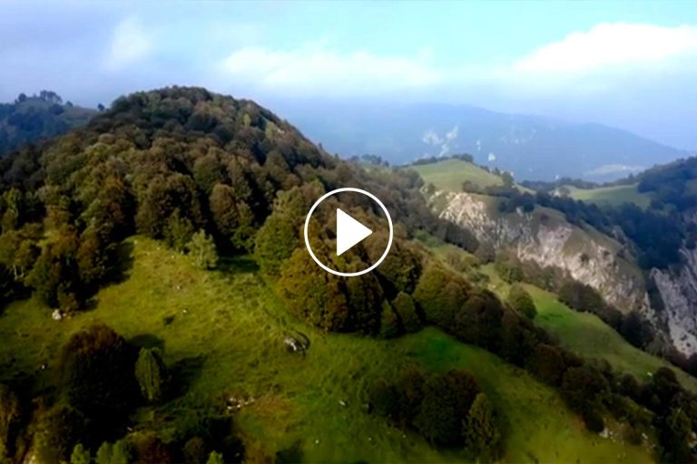 Consorzio Strachitunt - Video Premio Speciale Opera Sul Territorio